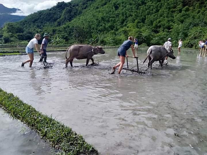 Mai Chau Xanh Bungalow Luaran gambar