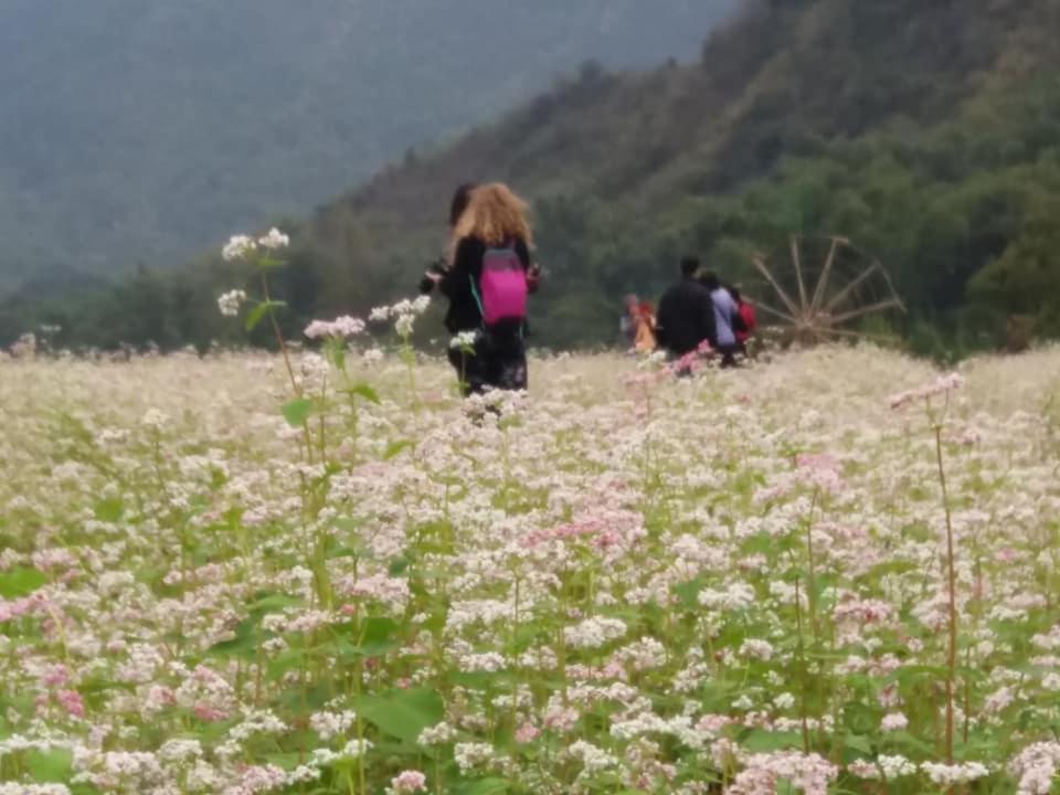 Mai Chau Xanh Bungalow Luaran gambar