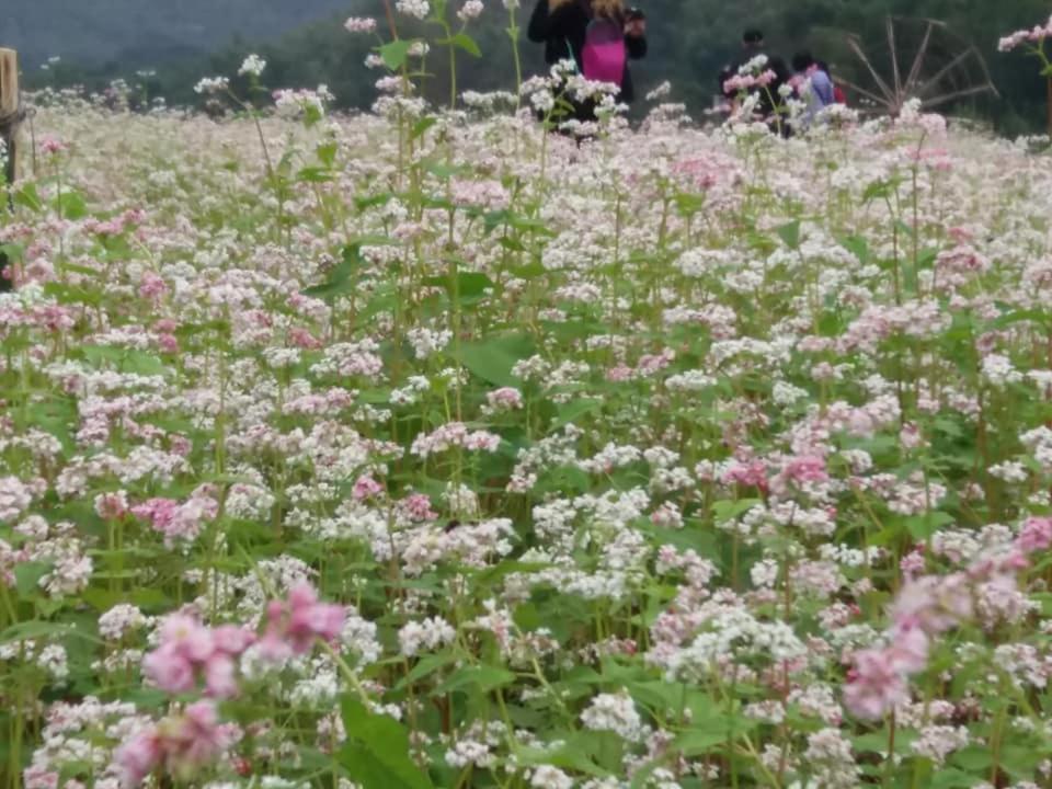 Mai Chau Xanh Bungalow Luaran gambar