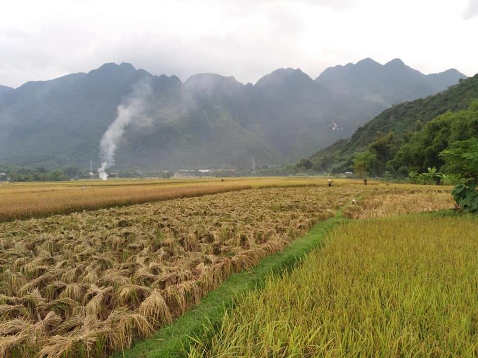 Mai Chau Xanh Bungalow Luaran gambar