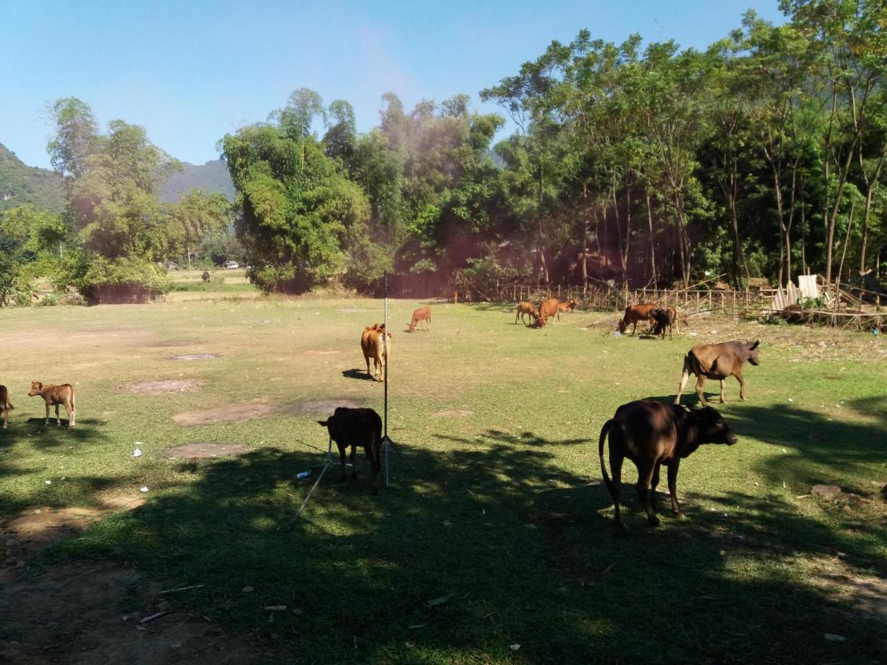 Mai Chau Xanh Bungalow Luaran gambar