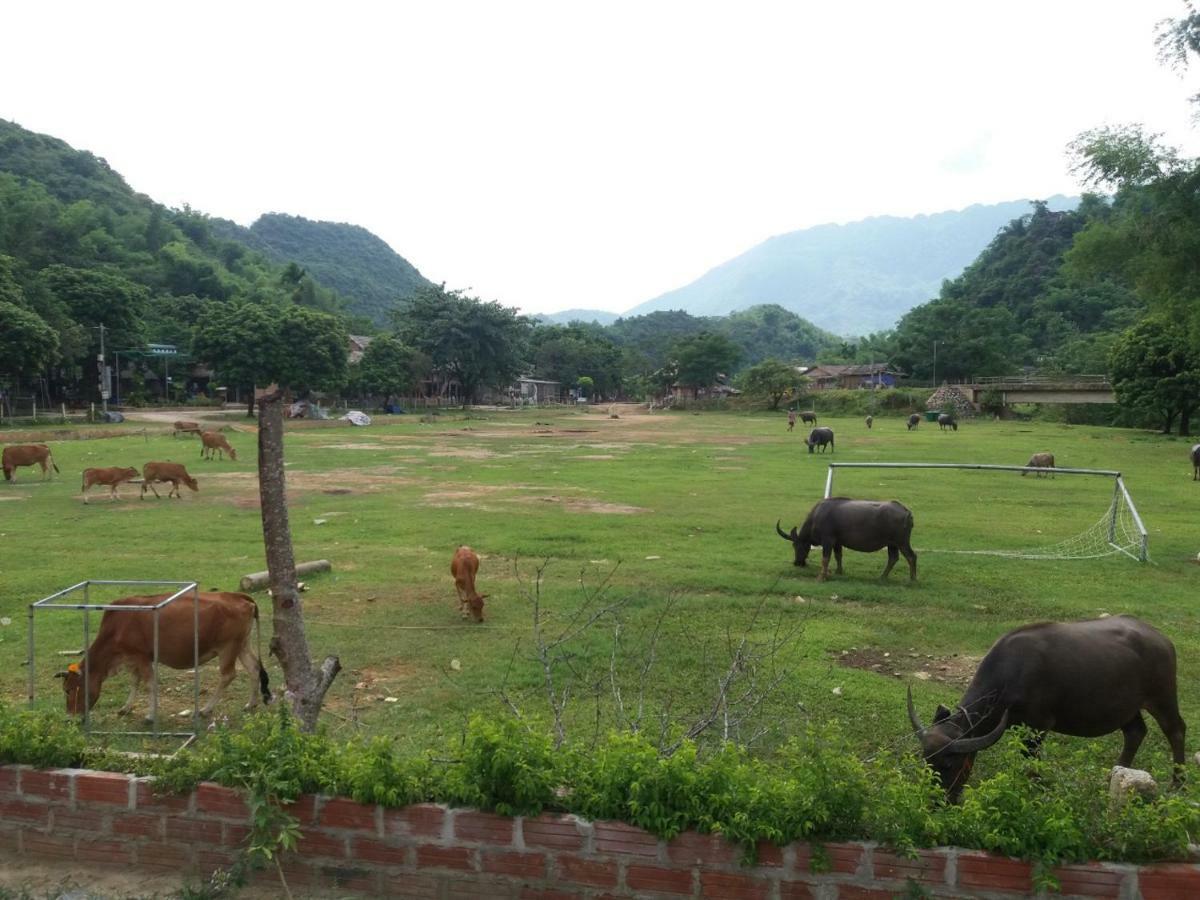 Mai Chau Xanh Bungalow Luaran gambar